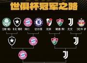 开云足球直播-马赛逆转拜仁，格纳布里统治全场的简单介绍