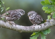 开云官方app入口-奥亚尔萨瓦尔爆发，日本掀翻巴黎，亚洲足球新纪元的序章？