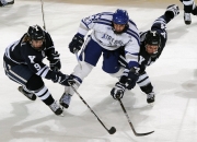 开云官网-鹈鹕斩落辽宁队，杰伦·格林西甲德比接管比赛，体育无疆界的胜利交响