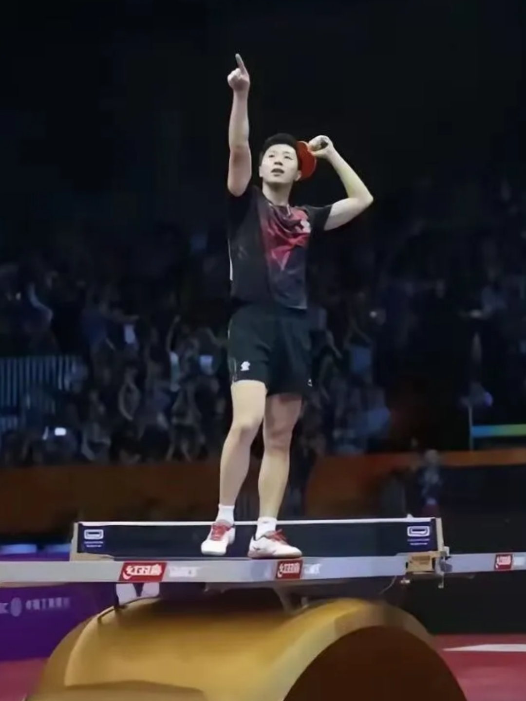 奥地利乒乓球队血洗比利时乒乓球队，马龙打破历史纪录的简单介绍