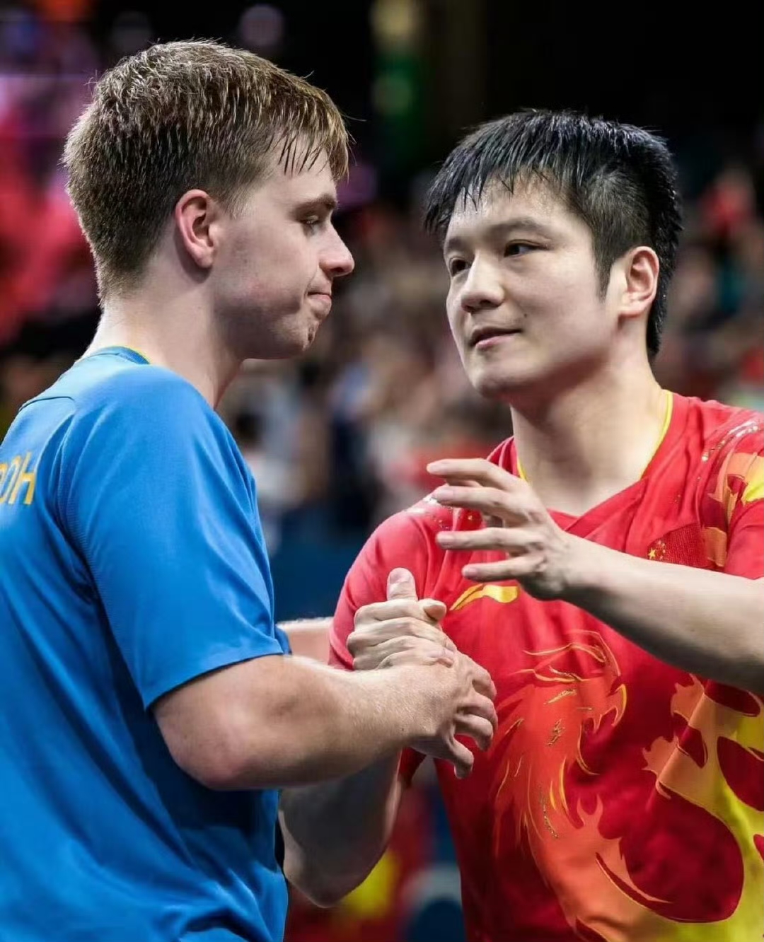 韩国乒乓球队强势英国乒乓球队,波尔一己之力扛起全队的简单介绍 韩国乒乓球队强势英国乒乓球队,波尔一己之力扛起全队的简单介绍