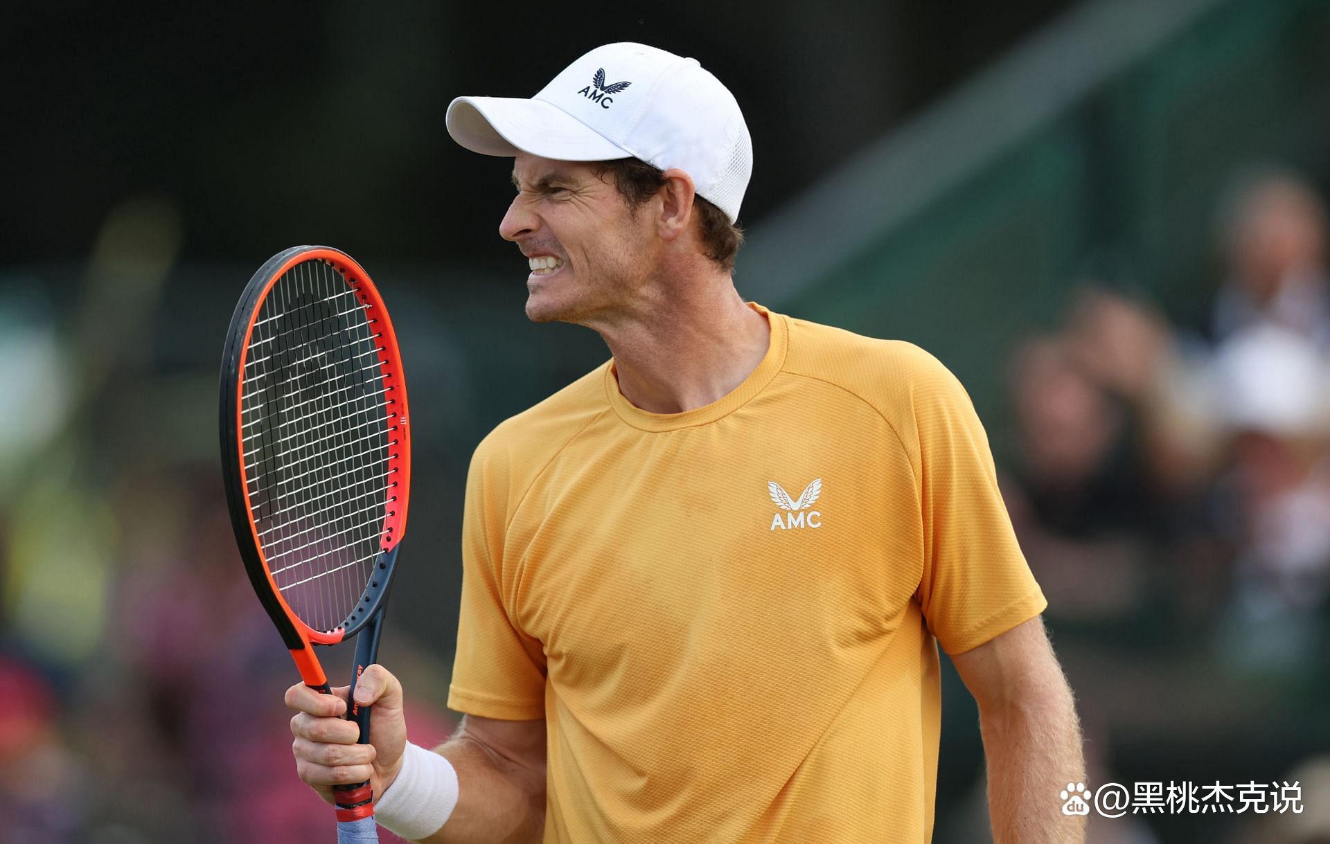 包含温网鏖战美网,穆雷高光表现的词条 包含温网鏖战美网,穆雷高光表现的词条