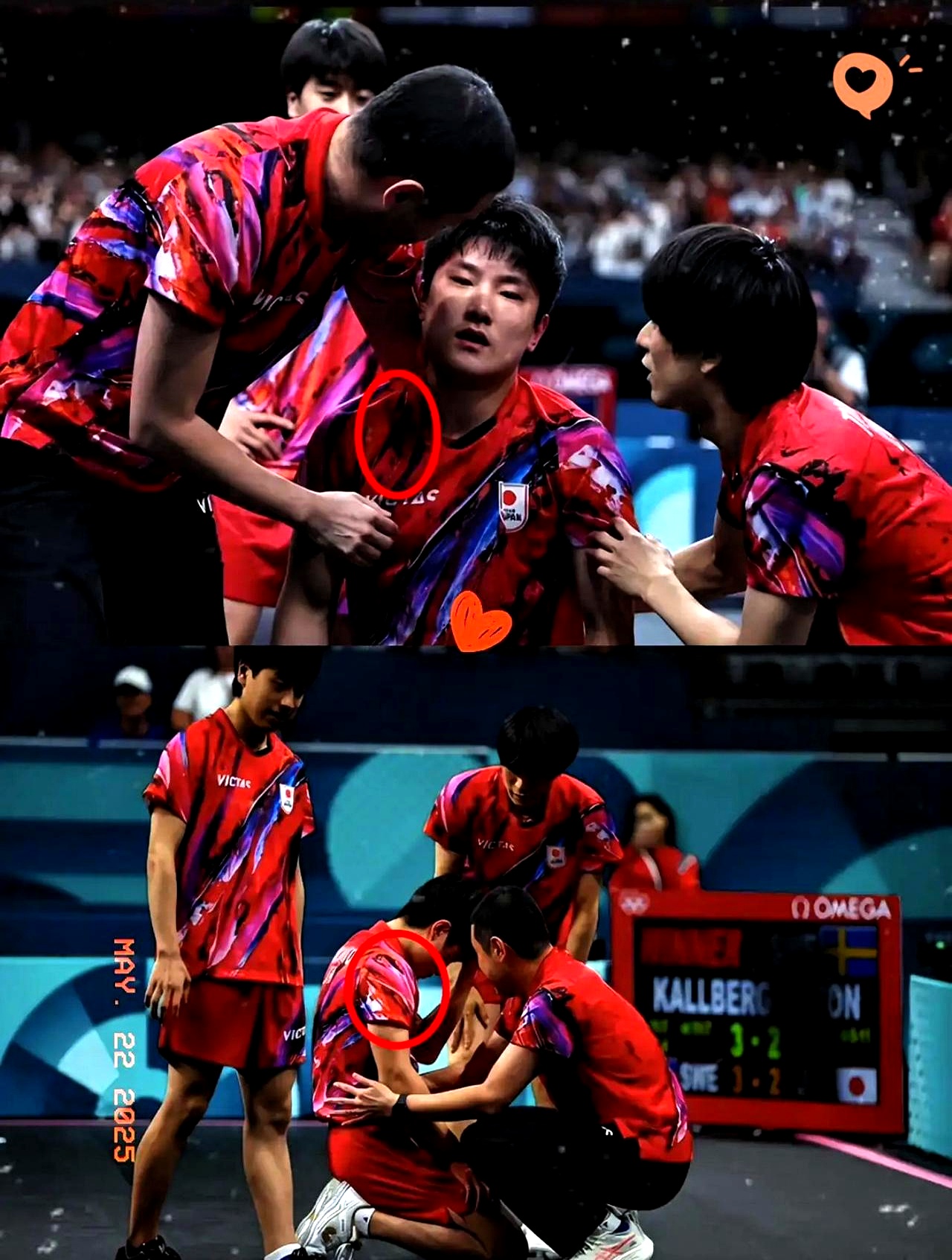 包含瑞典乒乓球队逆转比利时乒乓球队，张本智和爆发神勇的词条