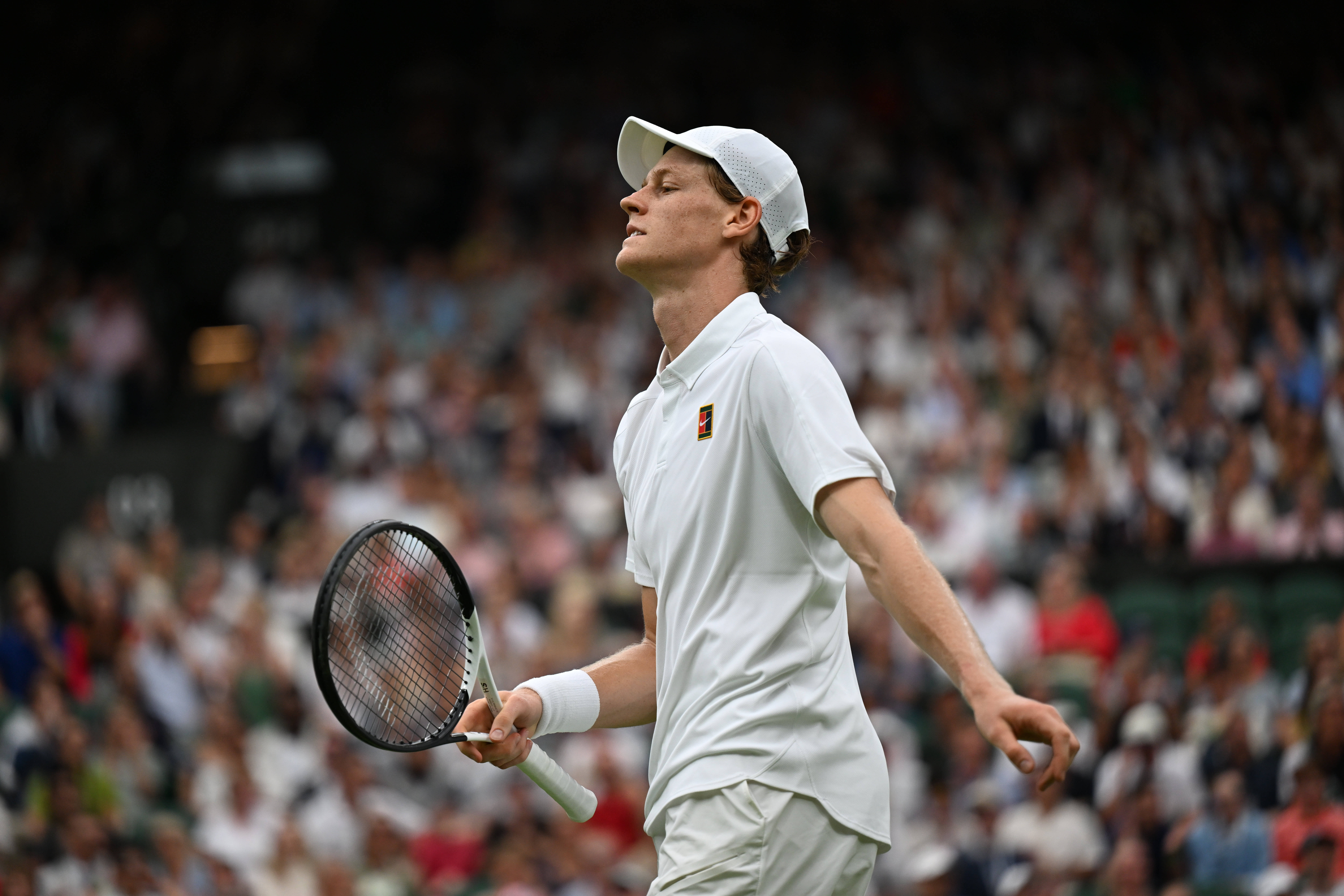 美网力克温网，辛纳带队取胜