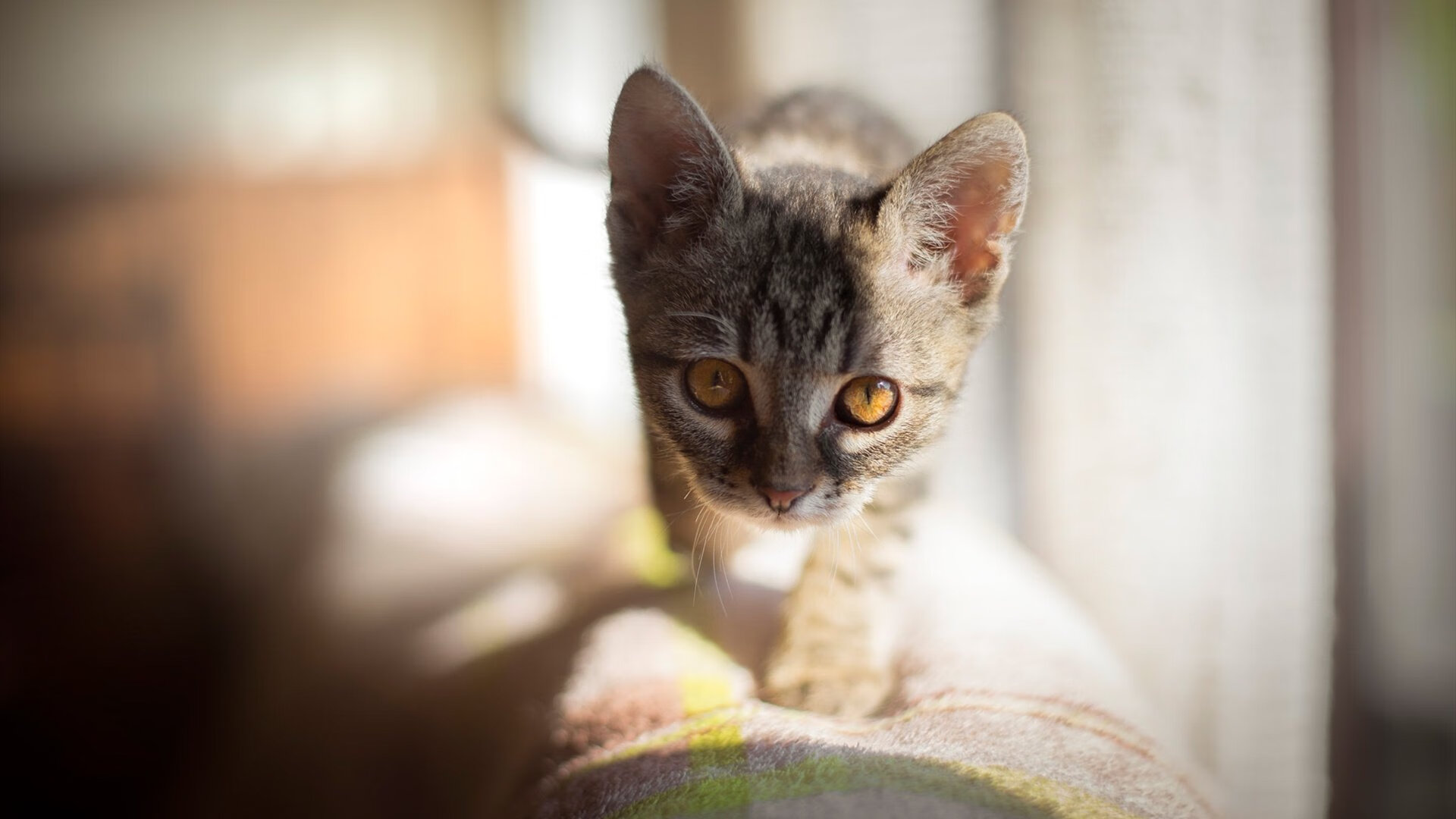 世界排名争夺战之夜,德布劳内关键节点连续得分,改写比赛走向